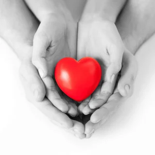 Darul Uloom Chishtiya Barkat E Raza Foundation