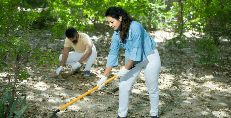 Public Service Support